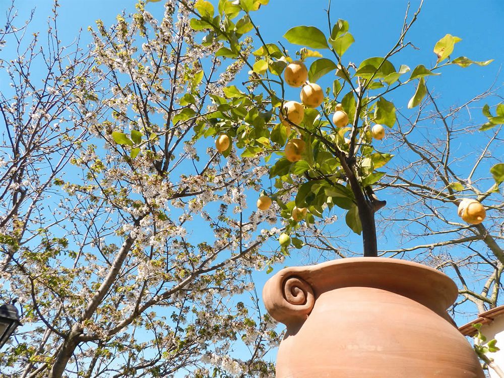 Bacio Del Sole B&B Ποζιτάνο Εξωτερικό φωτογραφία